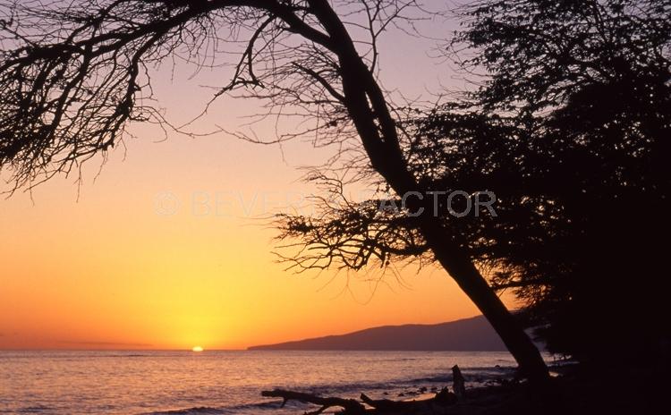 Islands;Sunsets;Sky;hawaii;clouds;sun;water;red;palm trees;sillouettes;colorful